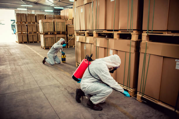 Best Residential Pest Control  in Atoka, NM