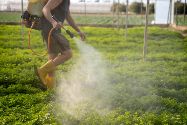 Best Affordable Exterminators  in Atoka, NM