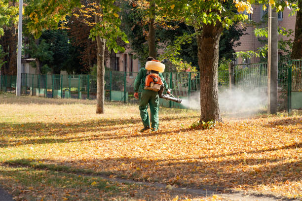 Professional Pest Control in Atoka, NM