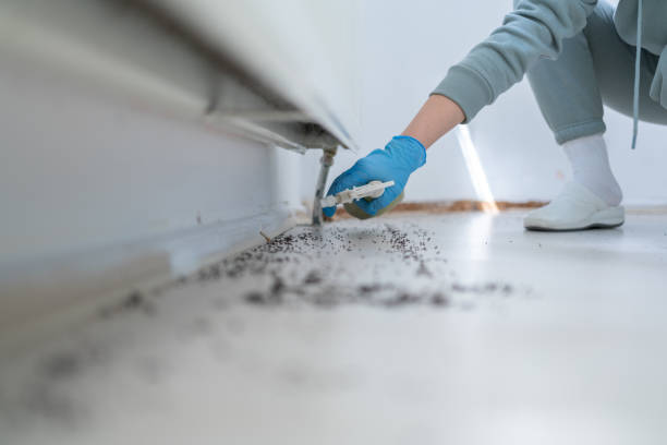 Best Commercial Pest Control Services  in Atoka, NM