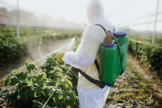 Best Residential Pest Control  in Atoka, NM
